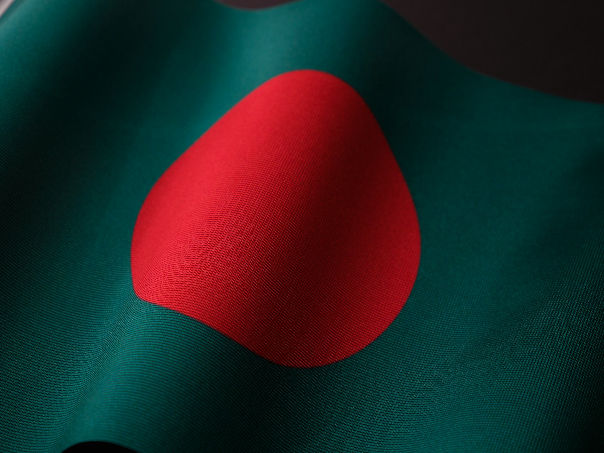 a close up of the flag of bangladesh